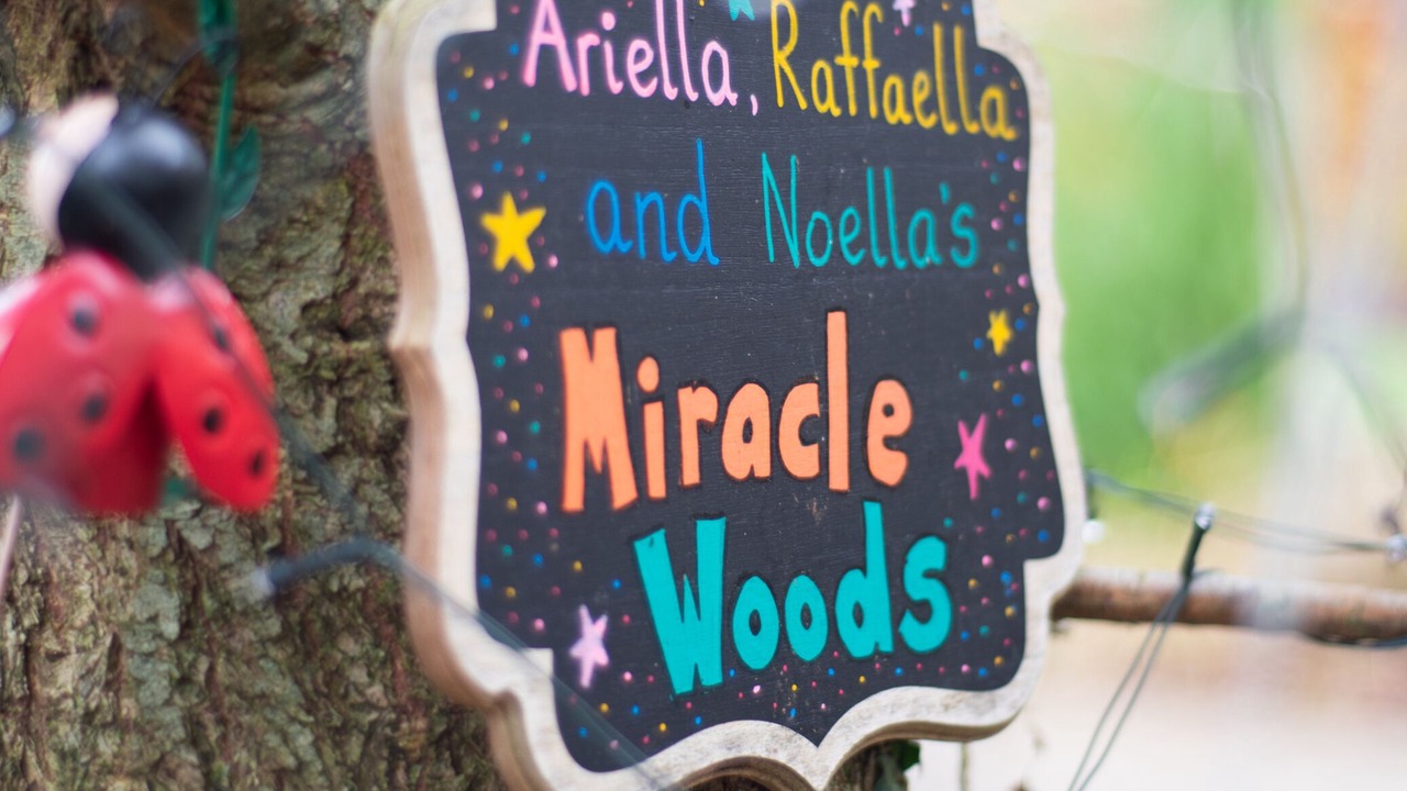 Photo of Outdoor in Craigavon