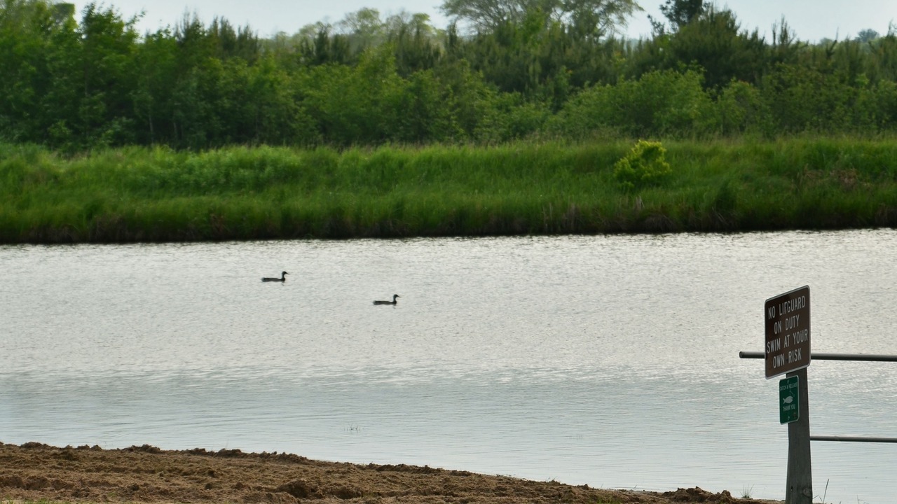 Photo of Outdoor in Willard