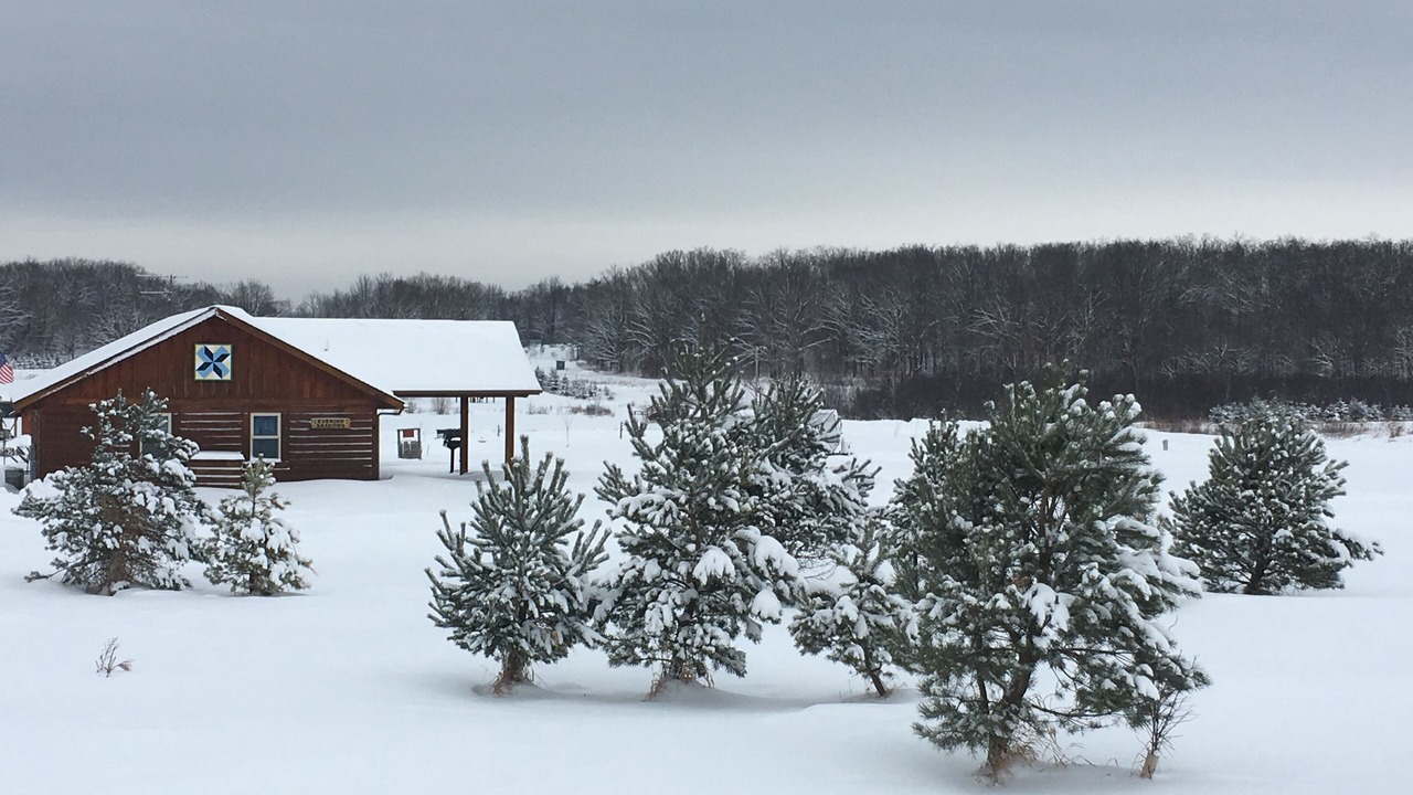 Photo of Outdoor in Willard