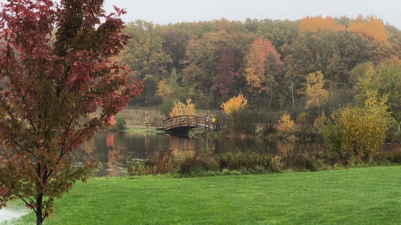 Photo of Outdoor in Willard