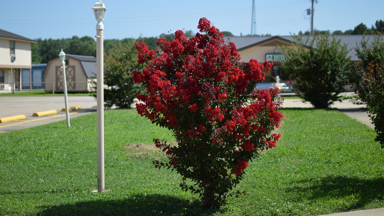 Photo of Outdoor in Wilburton