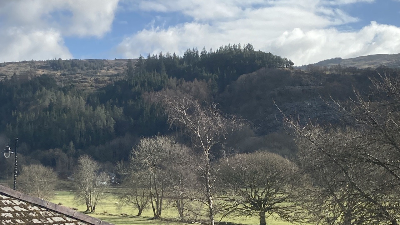 Photo of Bedroom in Dolwyddelan