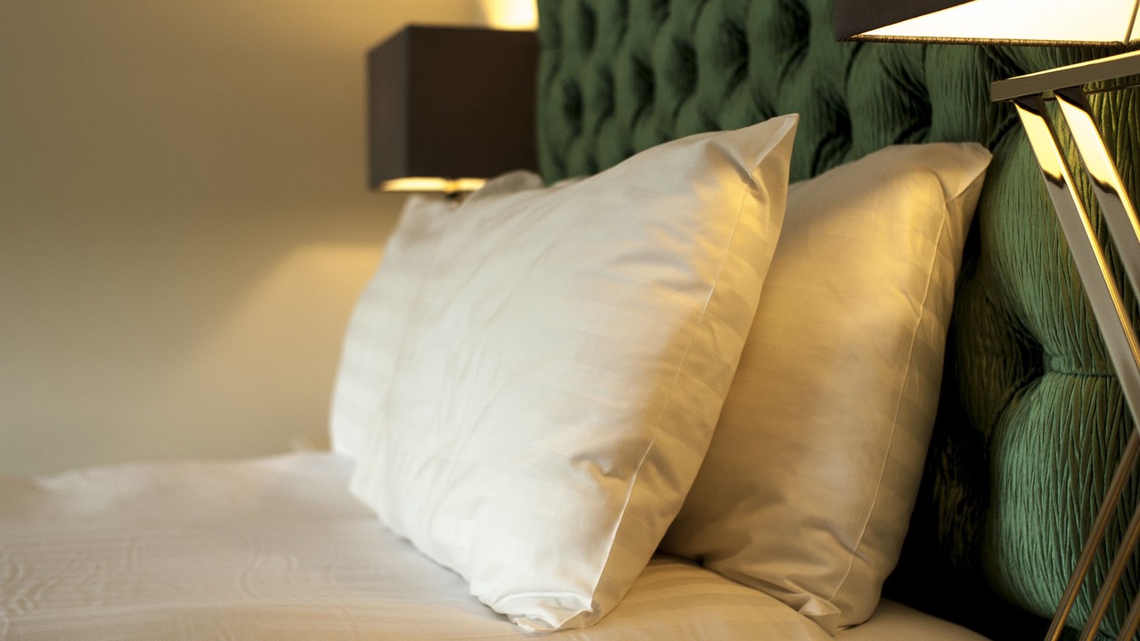 Photo of Others in Llanybri