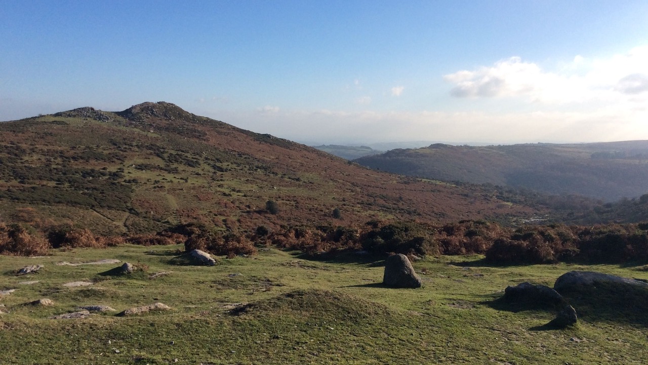 Photo of Others in Totnes