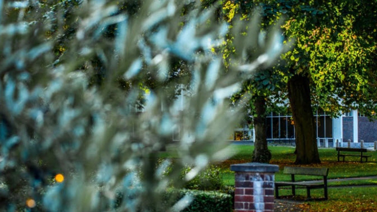 Photo of Others in Tamworth