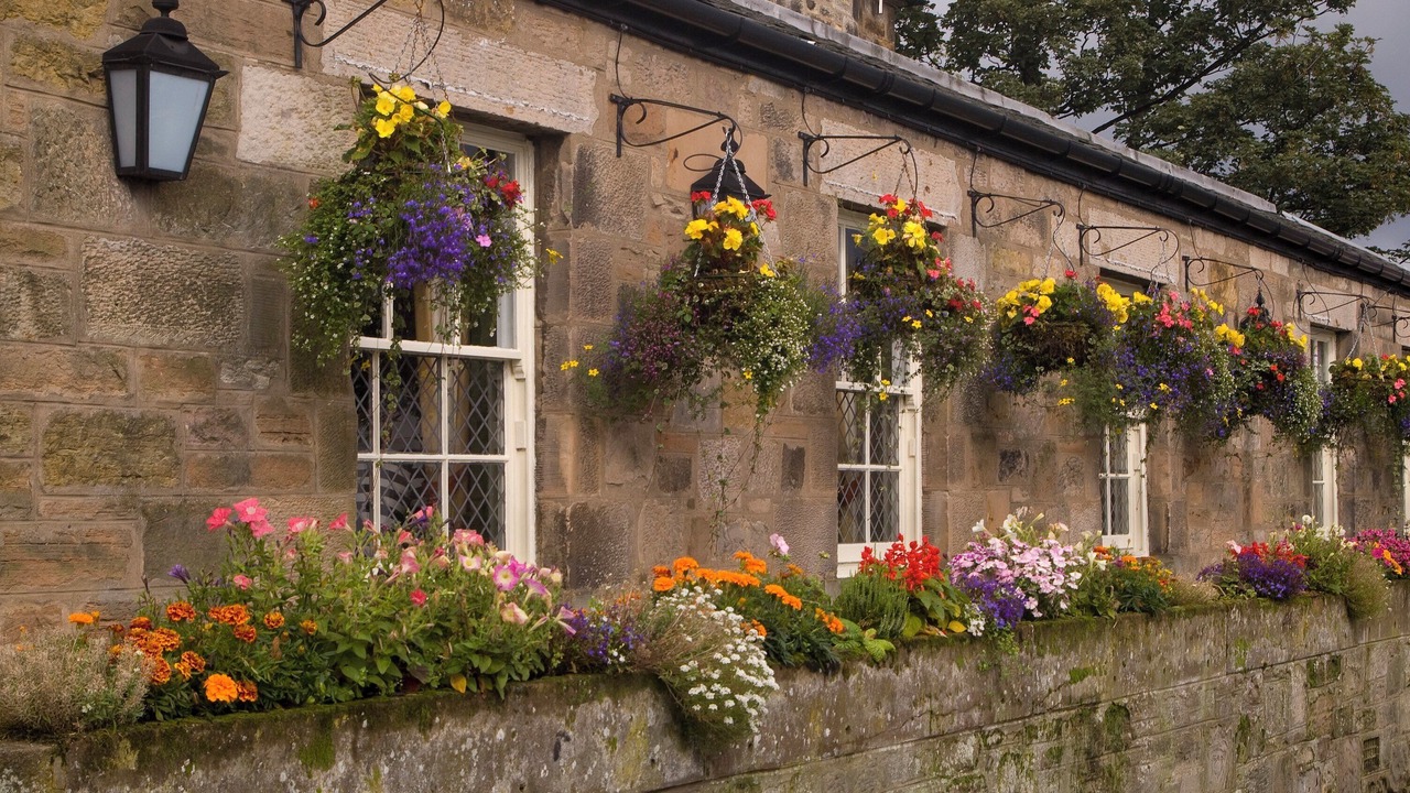 Photo of Outdoor in Duddingston
