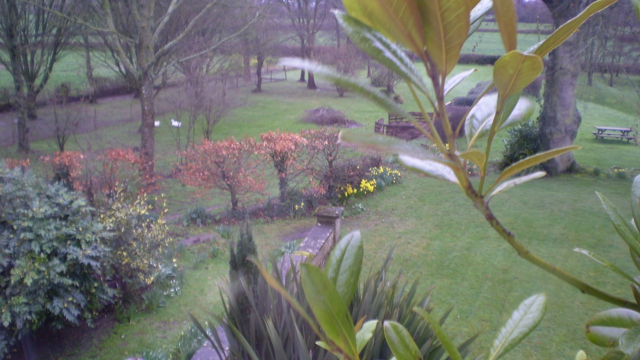 Photo of Outdoor in Sidmouth