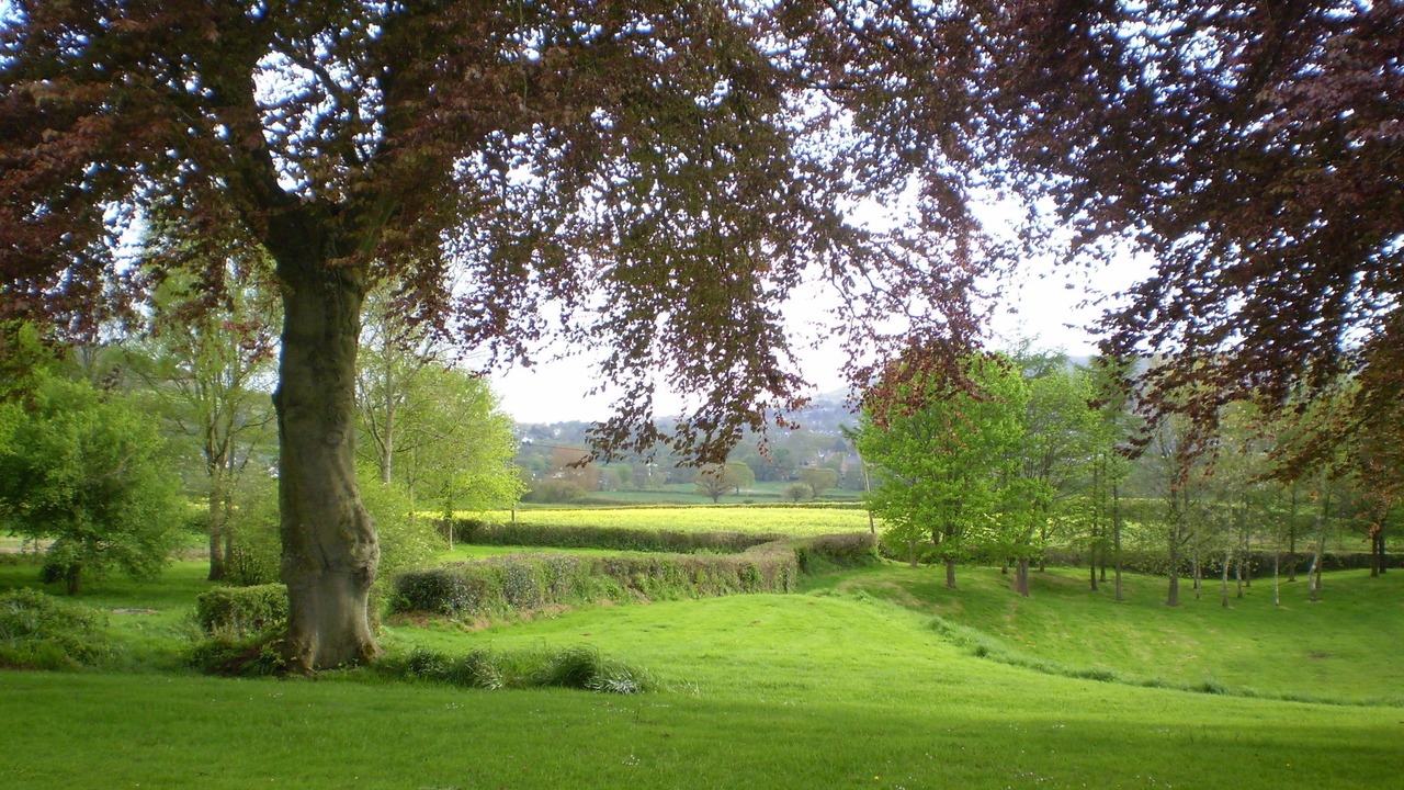 Photo of Outdoor in Sidmouth