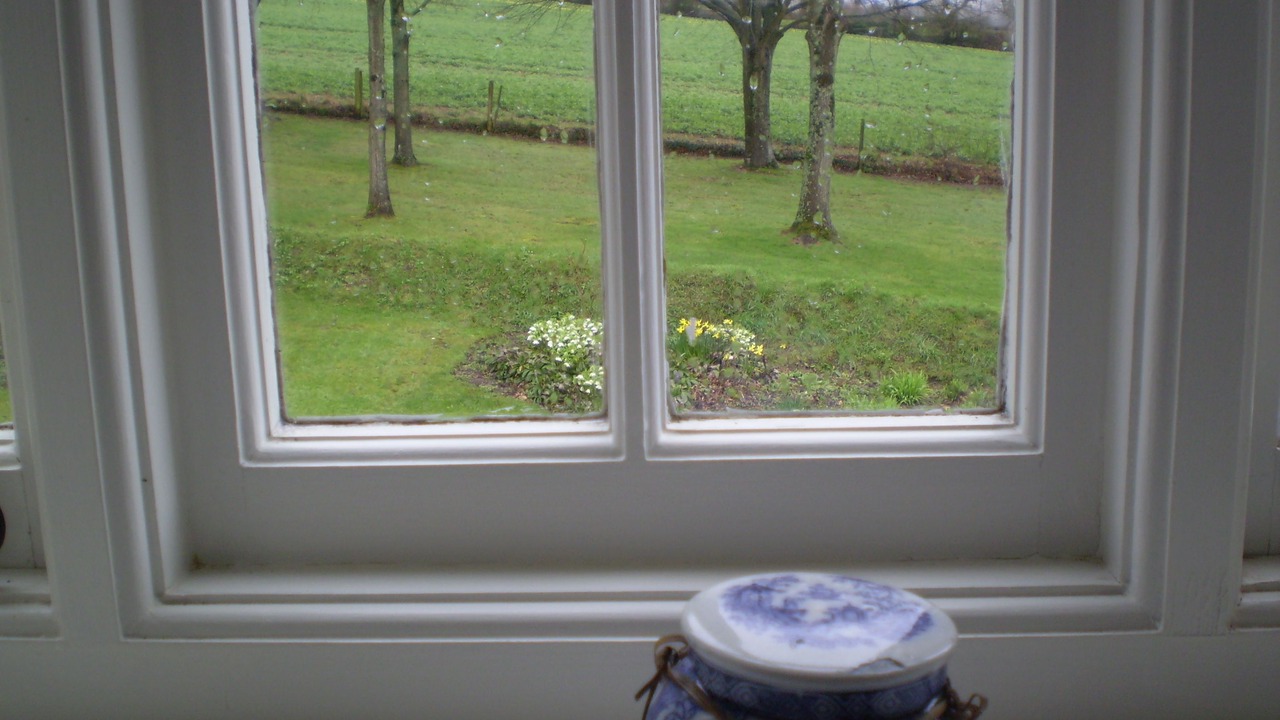 Photo of Outdoor in Sidmouth