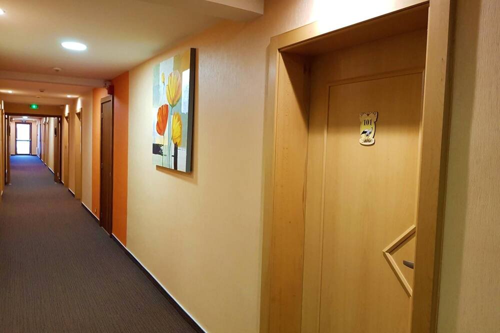 Photo of Others in Selestat