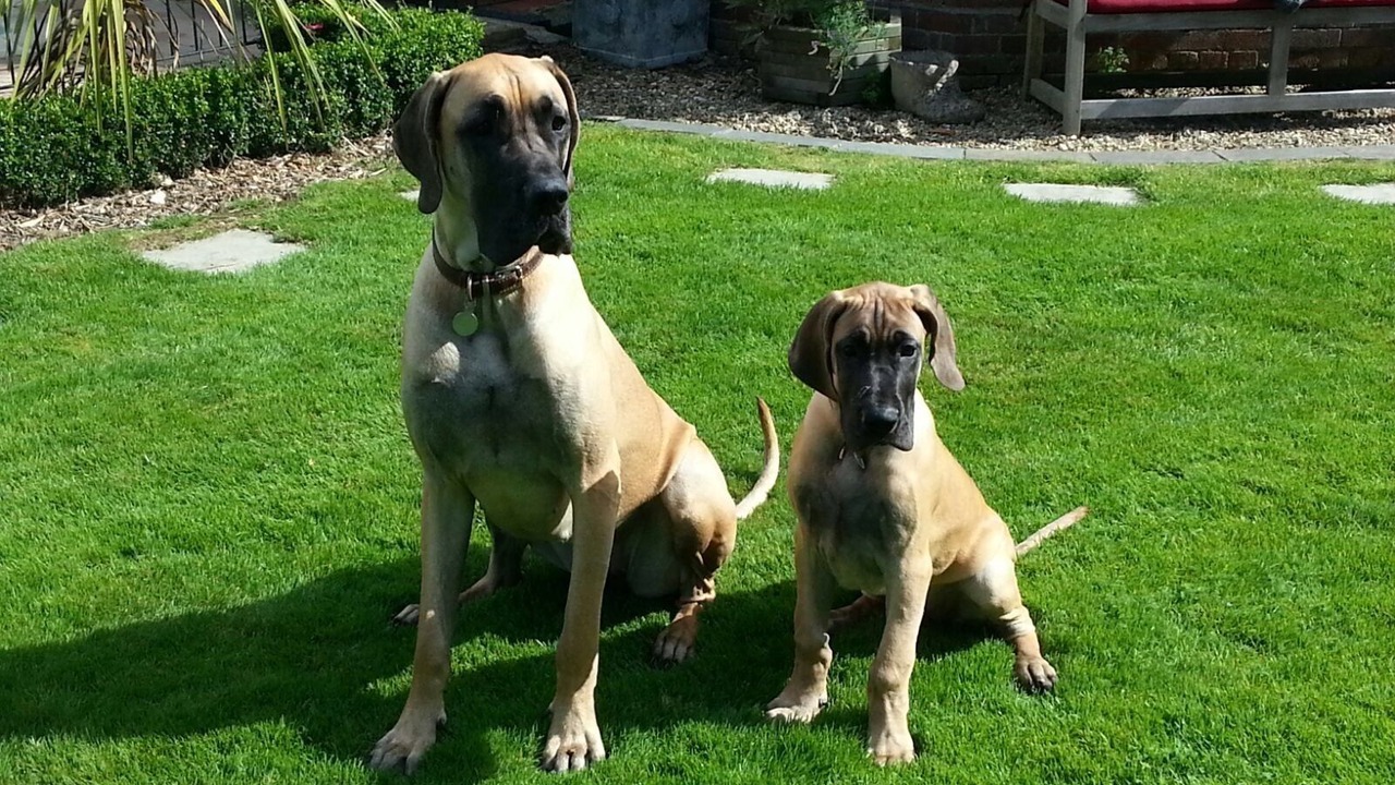 Photo of Others in Combpyne