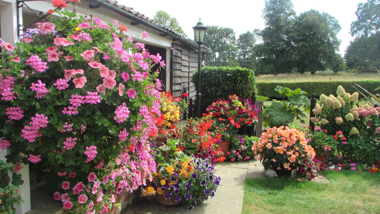 Photo of Outdoor in Fritton