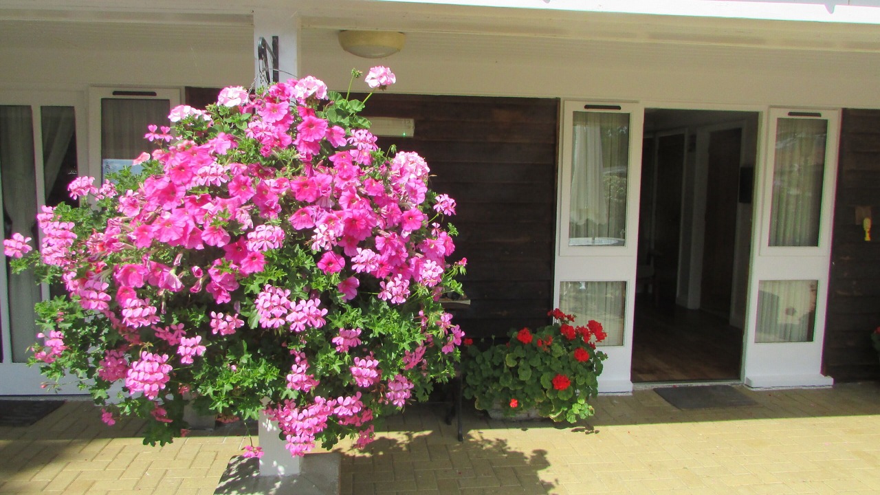 Photo of Bedroom in Fritton