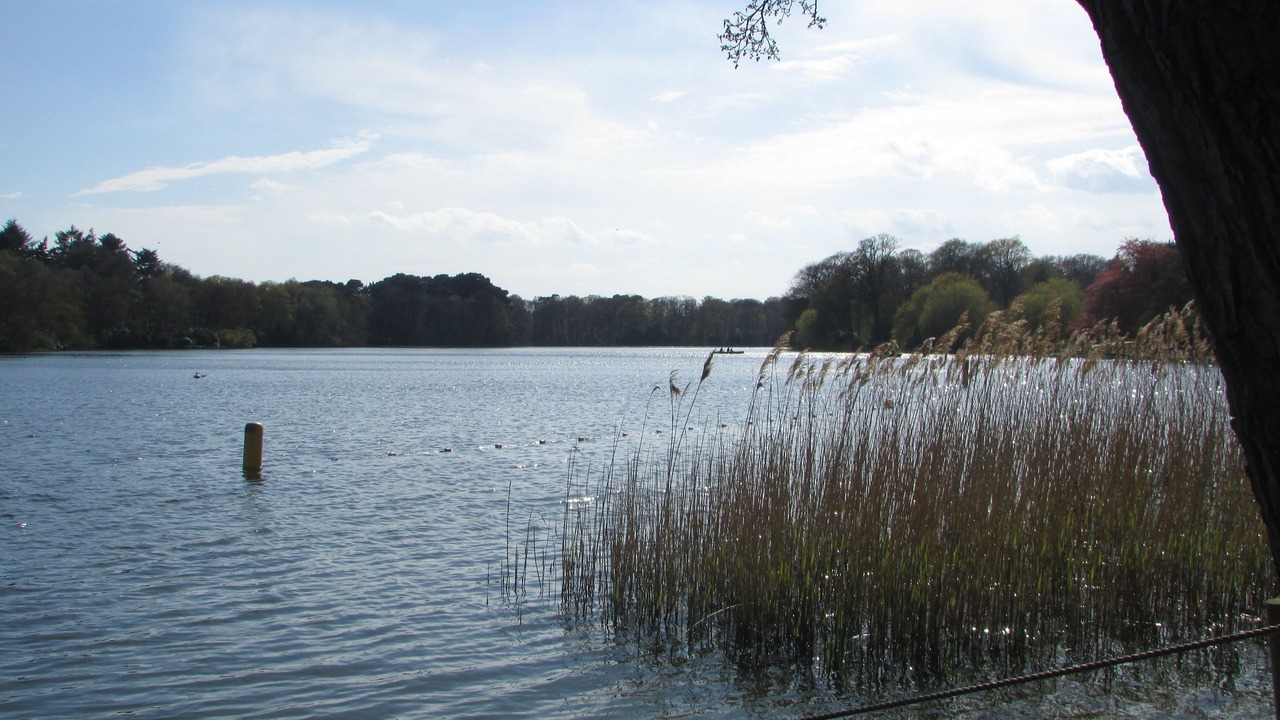 Photo of Others in Fritton