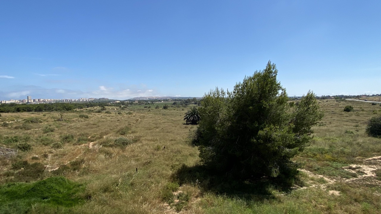 Photo of Others in El Altet