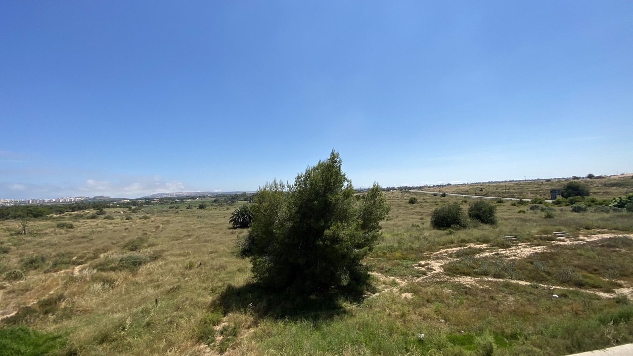 Photo of Others in El Altet