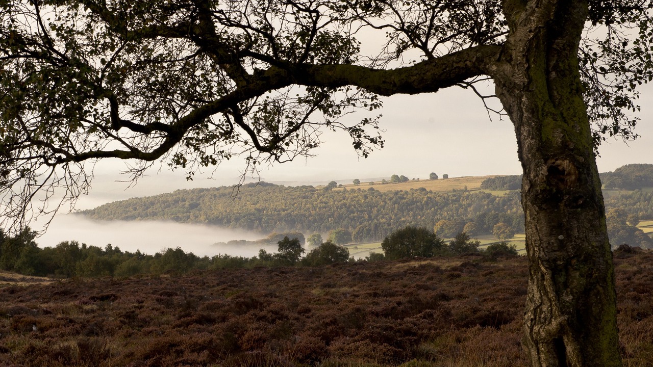 Photo of Others in Hathersage