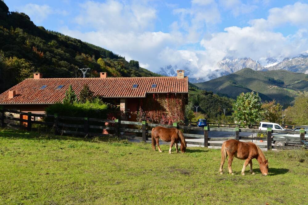 Photo of Outdoor in Frama