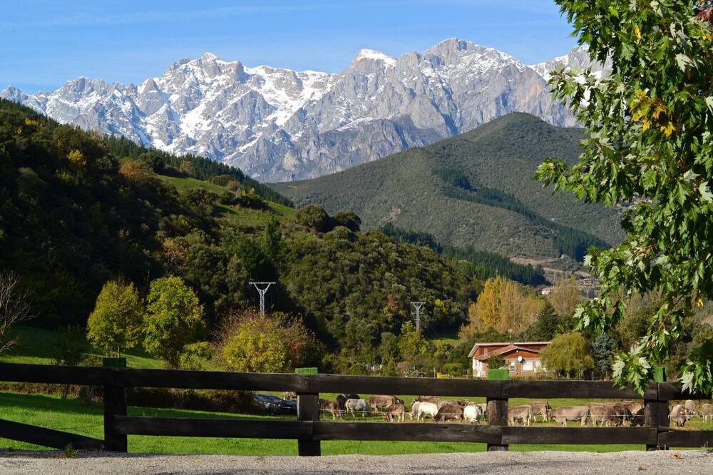 Photo of Outdoor in Frama