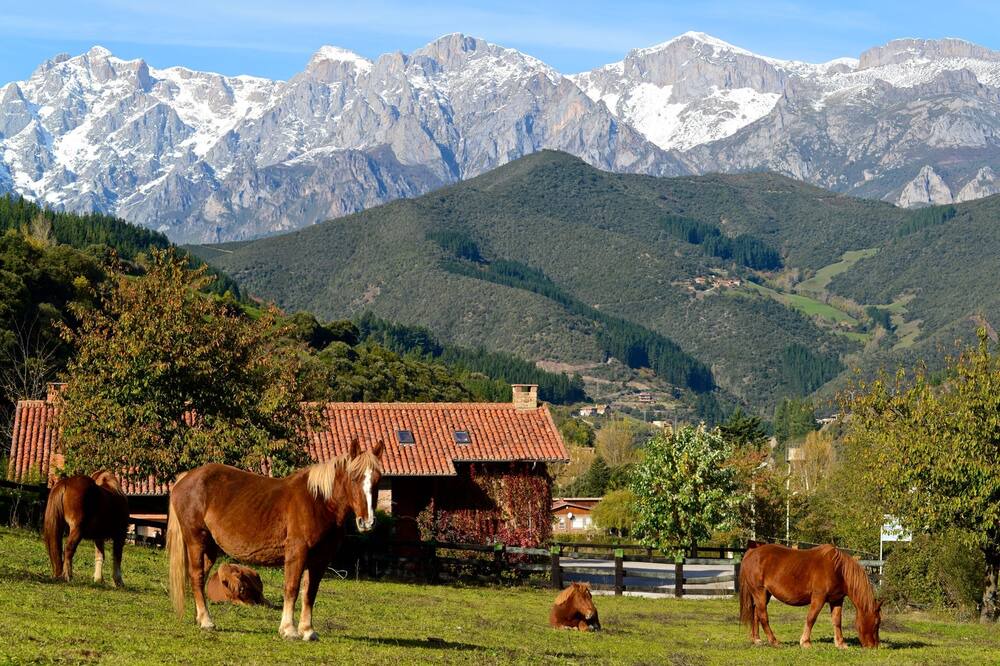 Photo of Outdoor in Frama