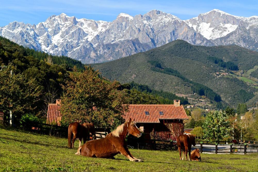 Photo of Outdoor in Frama