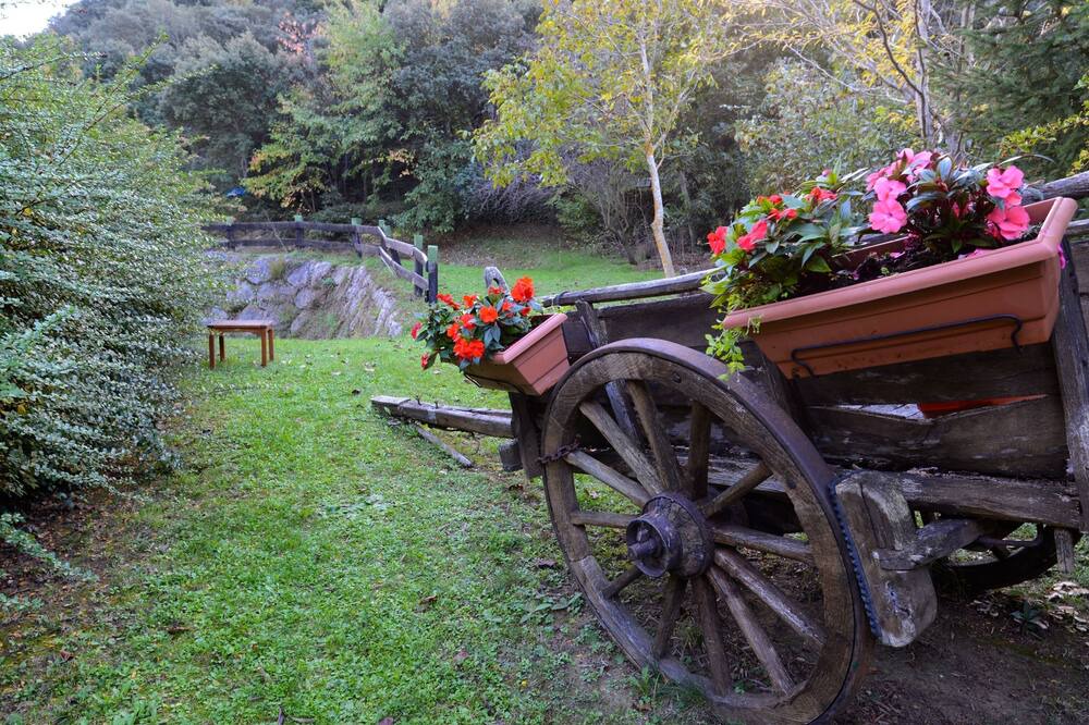 Photo of Outdoor in Frama