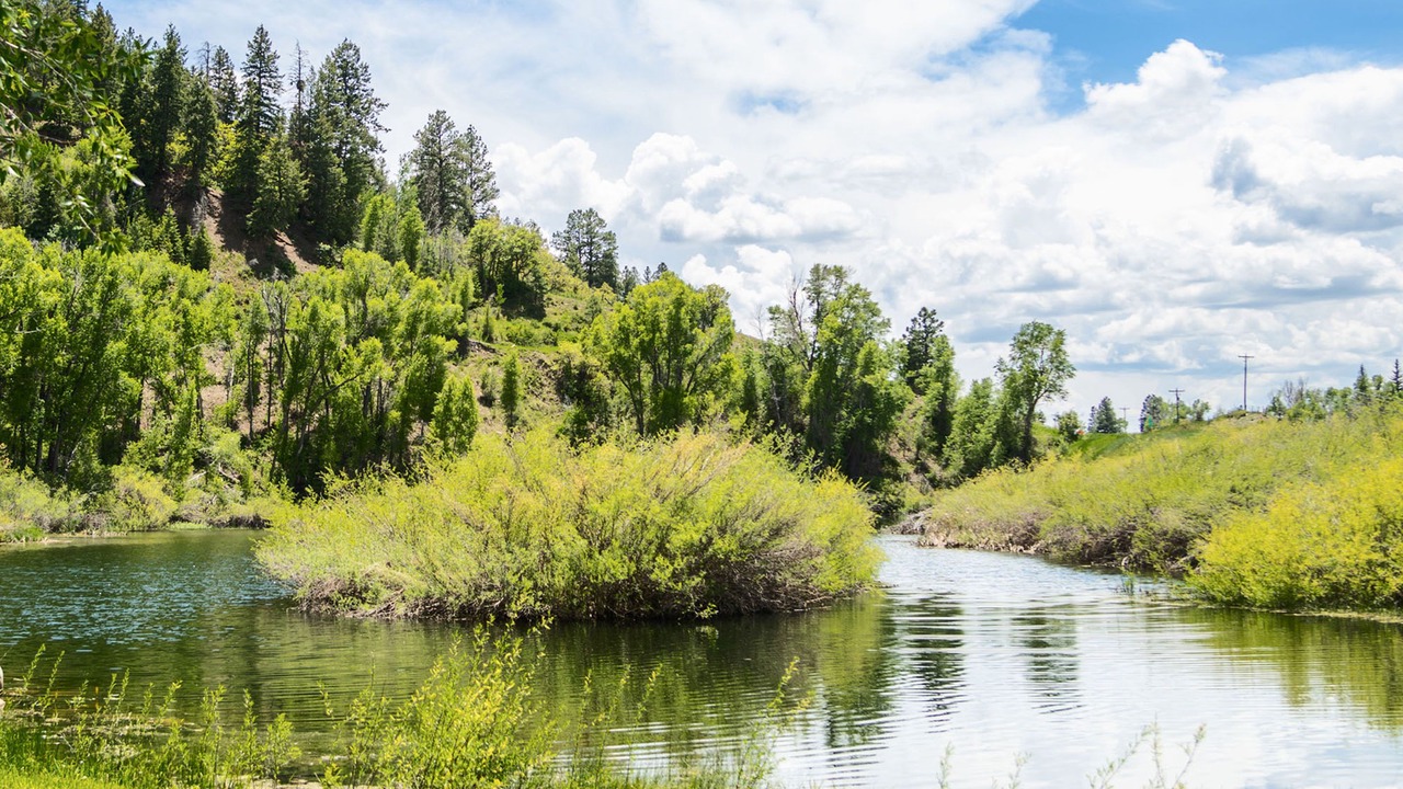 Photo of Outdoor in Pagosa Springs