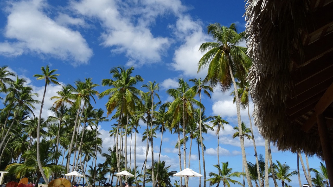 Photo of Outdoor in Las Terrenas