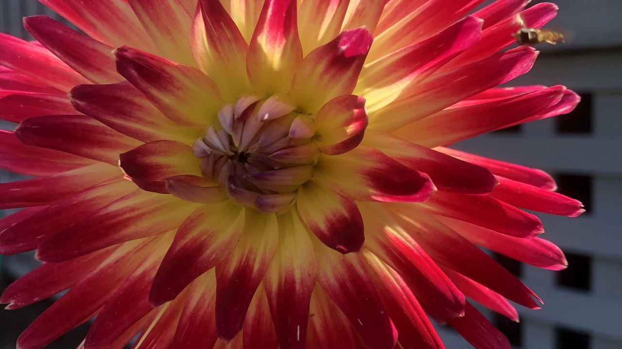 Photo of Outdoor in Bar Harbor