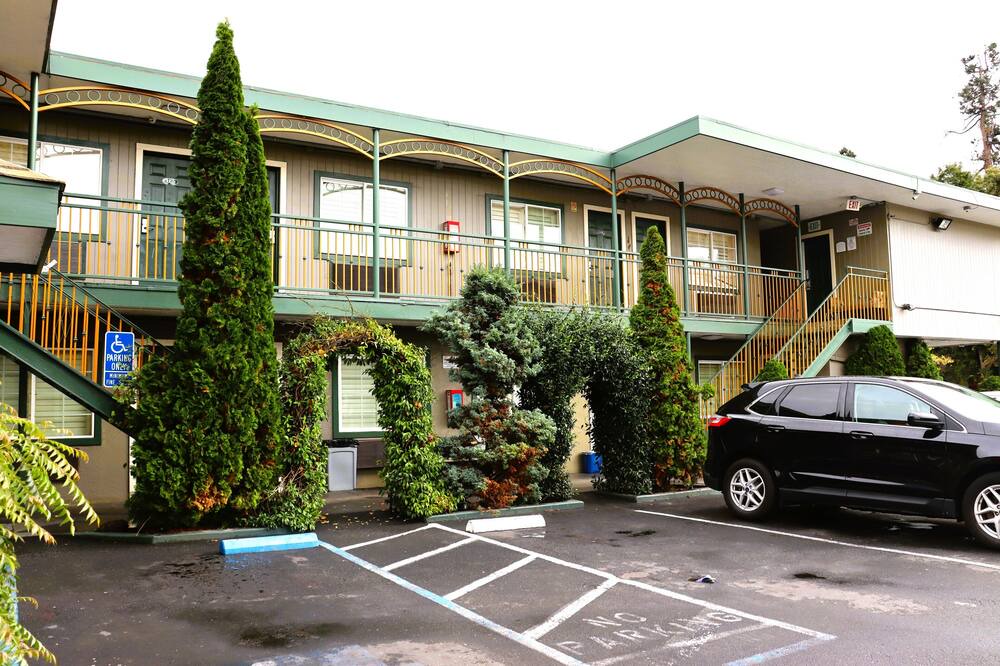 Photo of Outdoor in Mosswood