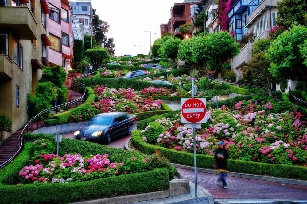 Photo of Others in Mosswood