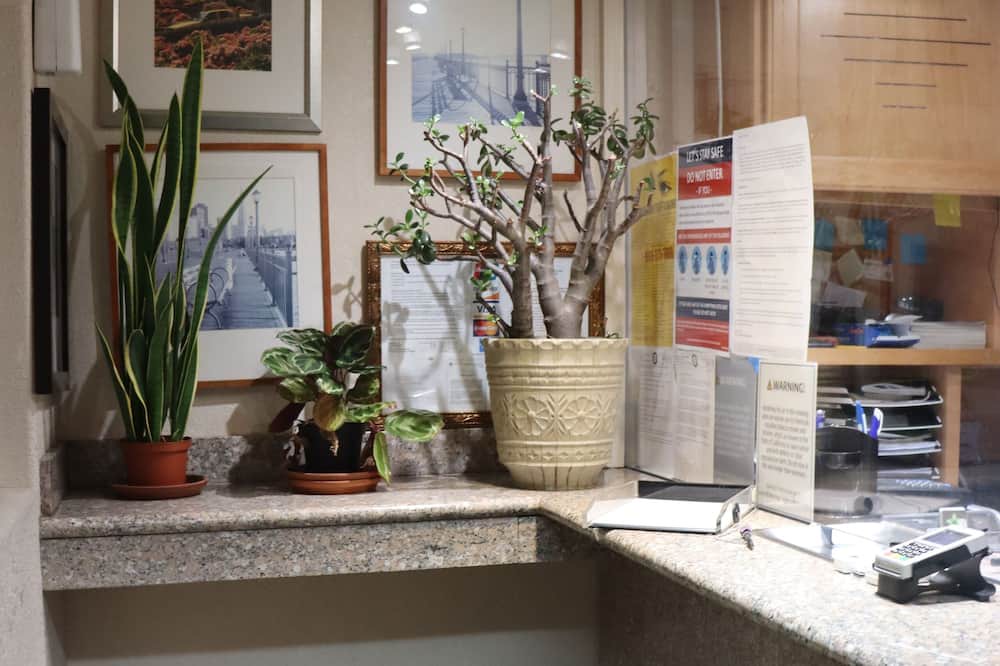 Photo of Others in Mosswood