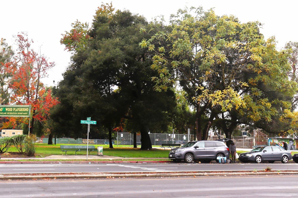 Photo of Outdoor in Mosswood