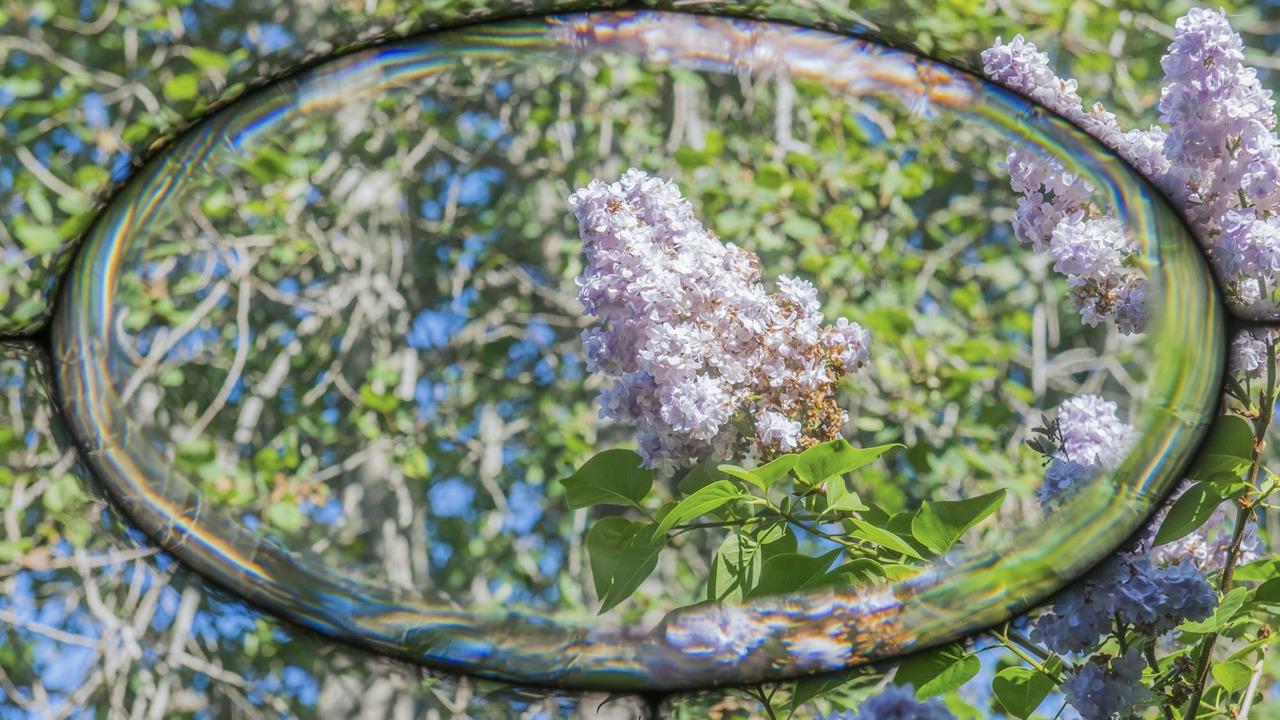 Photo of Bedroom in Lopez Island