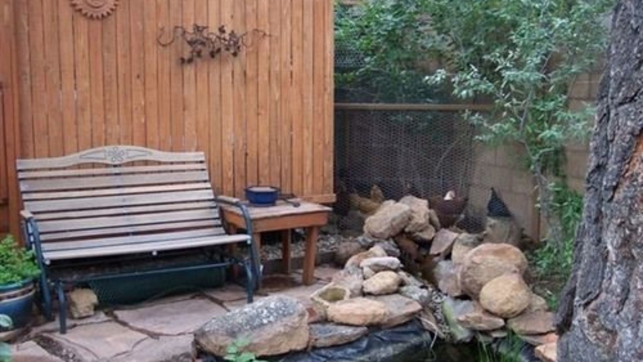 Photo of Outdoor in Flagstaff