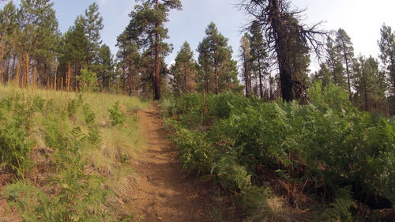 Photo of Outdoor in Flagstaff