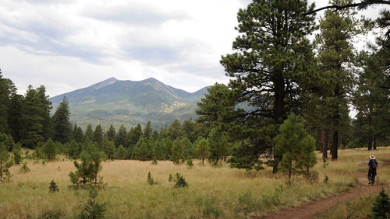 Photo of Others in Flagstaff
