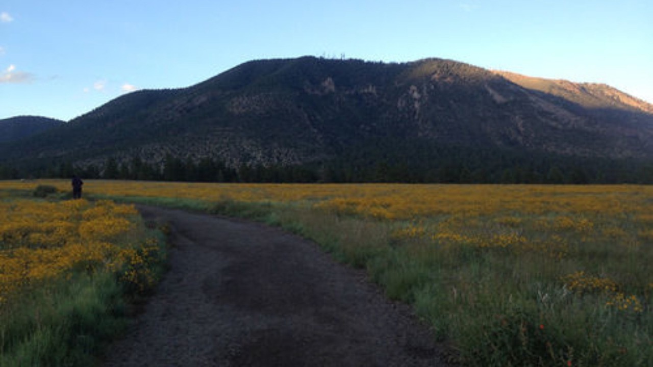 Photo of Others in Flagstaff