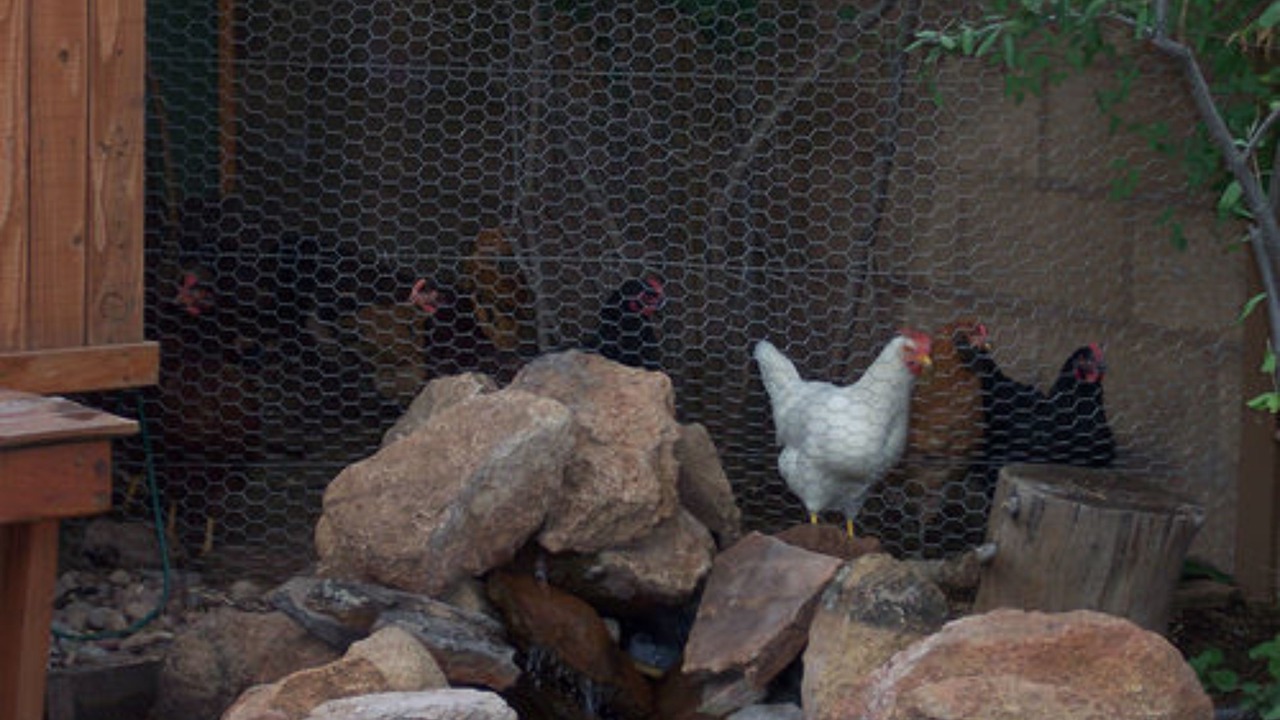 Photo of Outdoor in Flagstaff