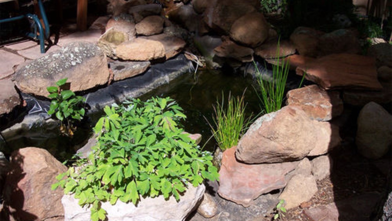 Photo of Outdoor in Flagstaff