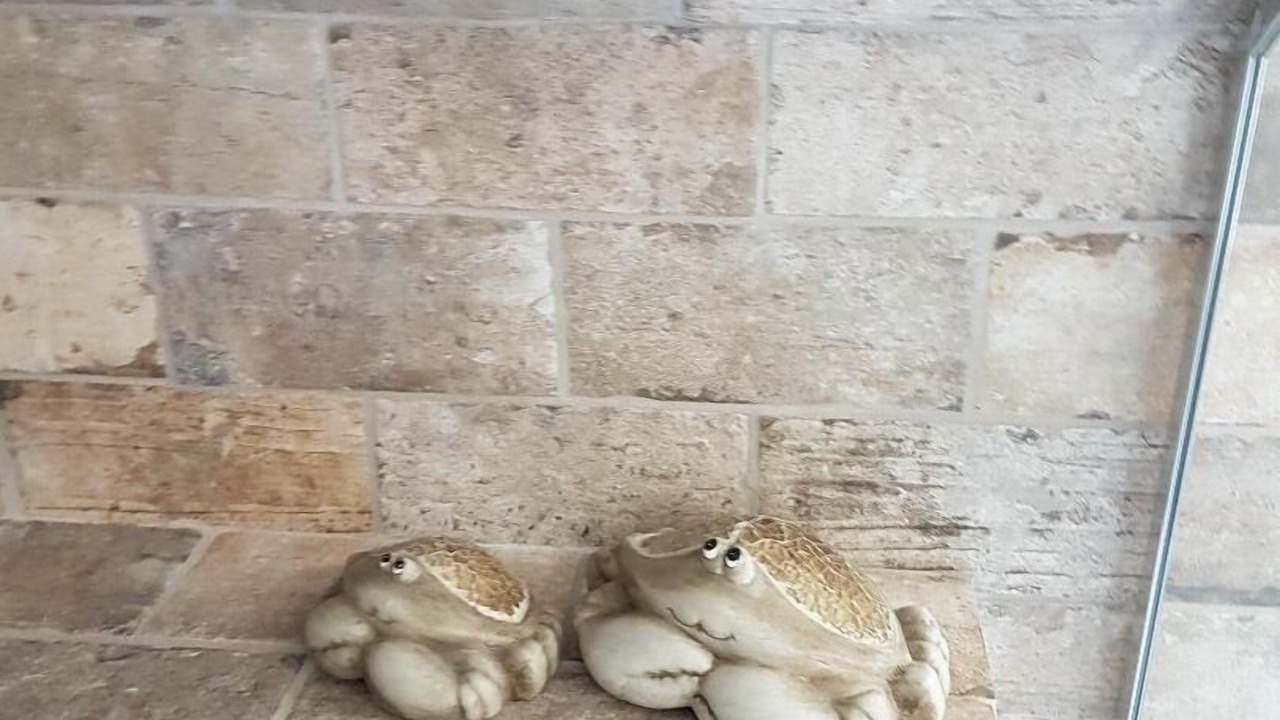 Photo of Others in Lanark