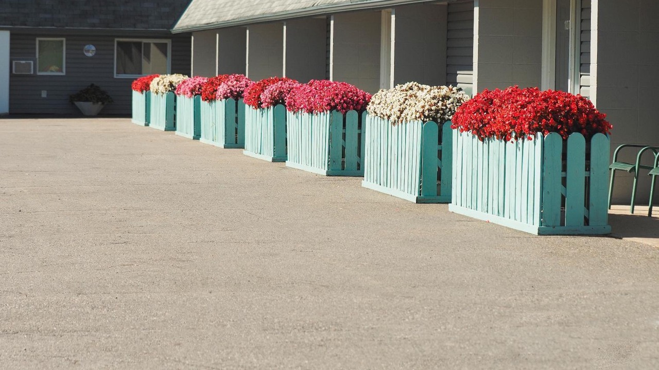 Photo of Outdoor in Sault Ste. Marie