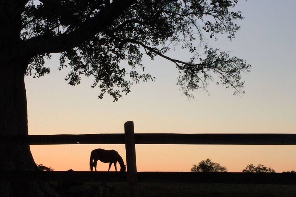 Photo of Outdoor in Madison