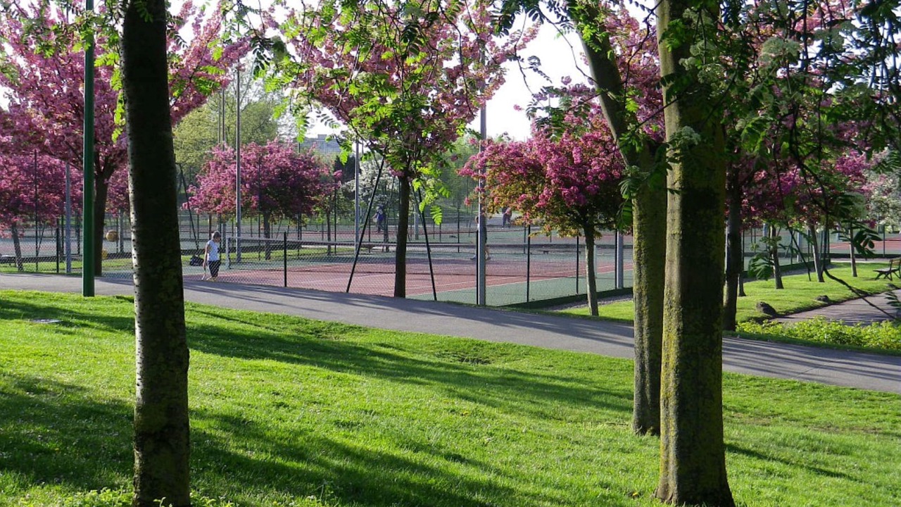 Photo of Outdoor in Le Tremblay