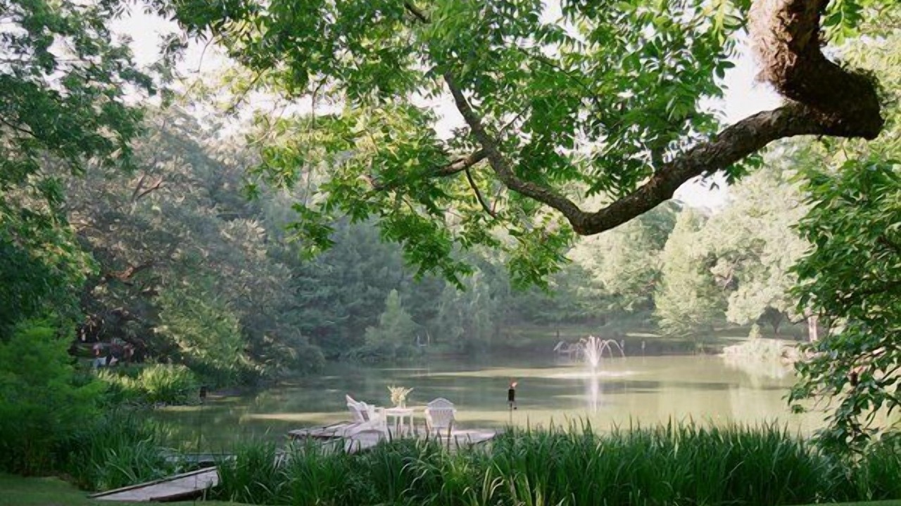 Photo of Outdoor in Natchez