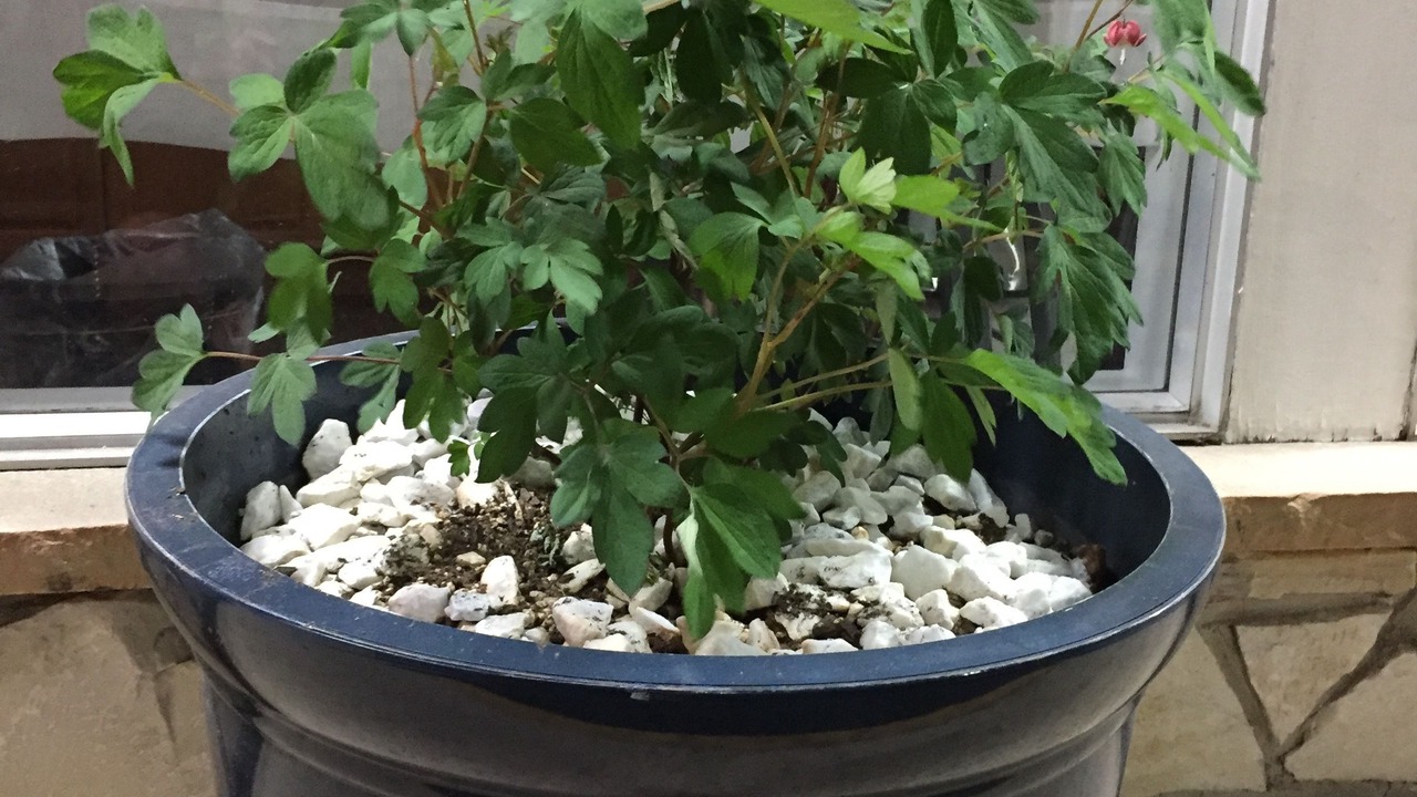 Photo of Outdoor in Pullman