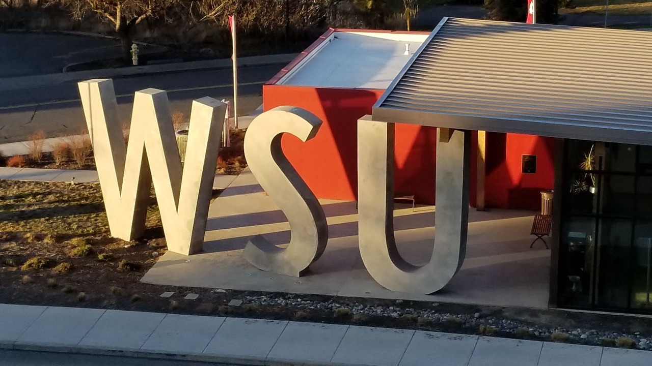 Photo of Others in Pullman