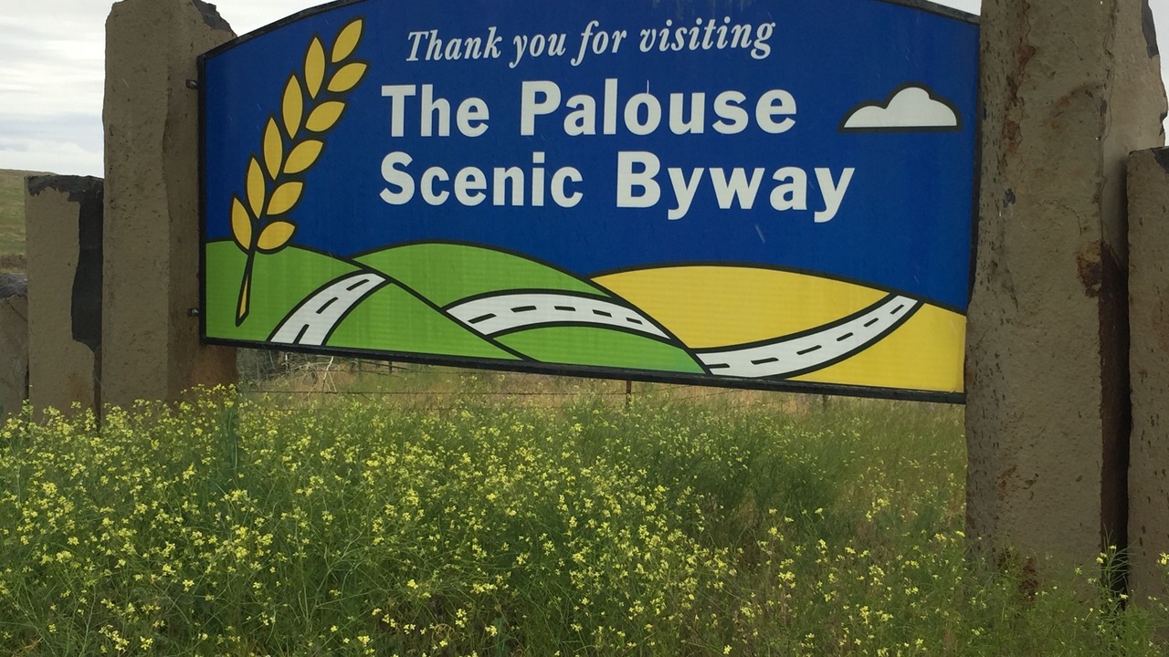 Photo of Others in Pullman