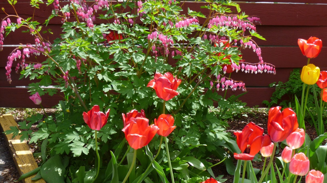 Photo of Outdoor in Pullman