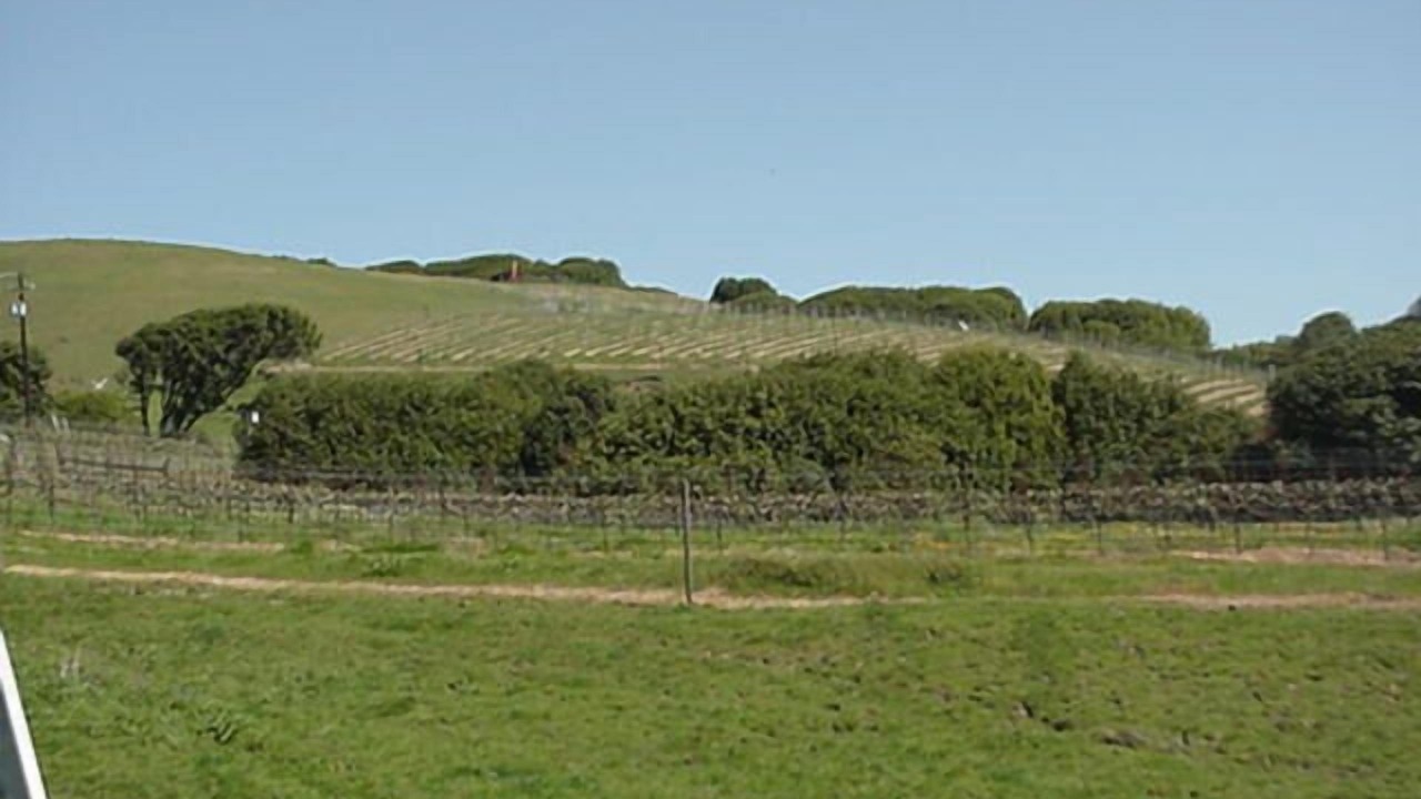 Photo of Outdoor in Point Reyes Station